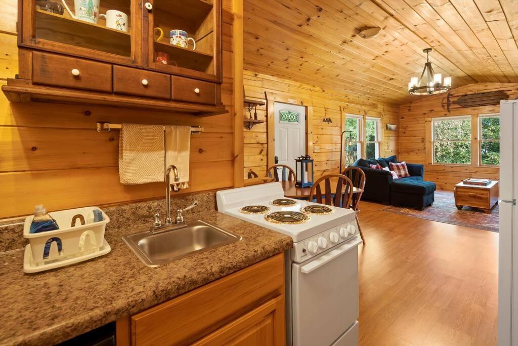 Dream Weaver Cabin Villa Candler Exteriör bild